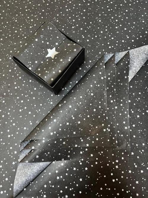 Gümüş Yıldız Desenli Pelur Kağıdı/Siyah Pelur50x70 cm 10’lu-T325