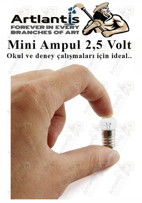 Mini Ampul 2,5 Volt 1 Adet Küçük Elektrik Deney Ampulü 2.5 v Okul Sınıf Elektrik Devre Deney Ampulü