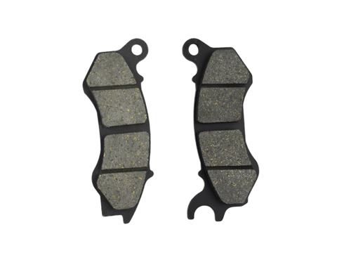 FREN BALATASI ÖN TAKIM