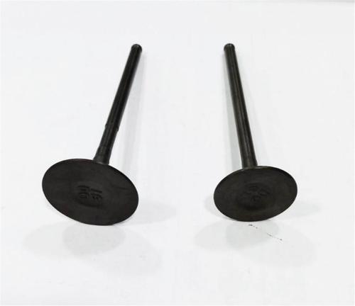 DQ EMME EGZOZ SÜBAP TAKIMI HONDA CBF 150