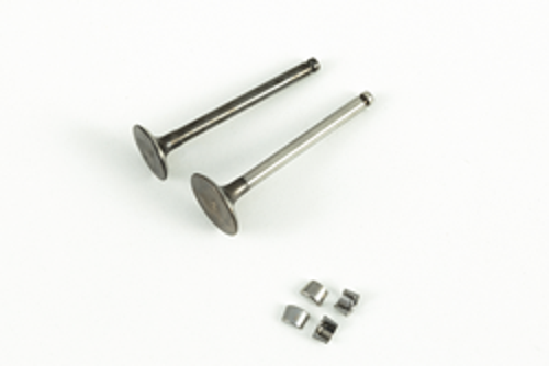 DQ EMME EGZOZ SÜBAP TAKIM MONDIAL CUB 100