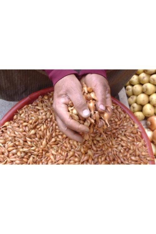 Arpacık Soğan Kıska 1 kg