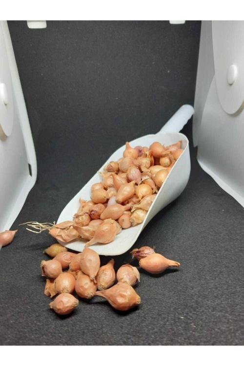 Arpacık Soğan Kıska 2 kg