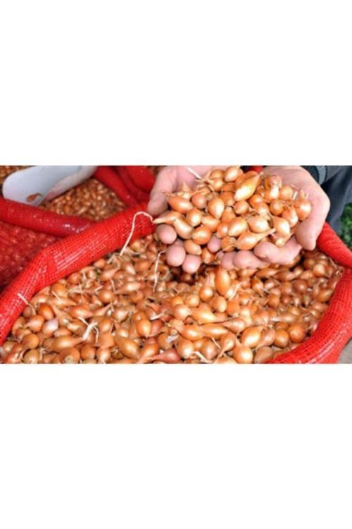 Arpacık Soğan Kıska 5 kg