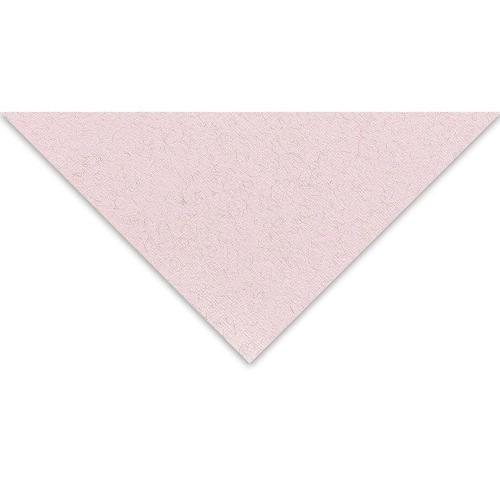 Tiziano Çok Amaçlı Fon Kartonu 160 gr. 50x65 cm 5'li Paket GÜL - ROSA