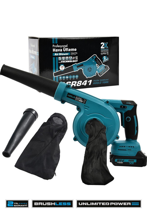 Profesyonel 21v Çift Akülü Kompresör Şarjlı Hava Üfleme Makinesi