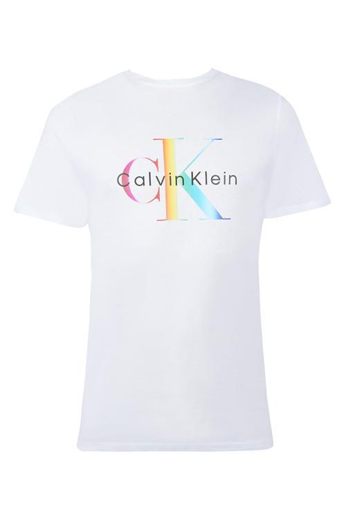CALVIN KLEIN ERKEK T-SHIRT 40BM828-110