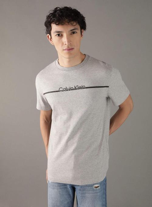 CALVIN KLEIN ERKEK T-SHIRT K10K113802-P6T