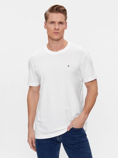 CALVIN KLEIN ERKEK T-SHIRT J30J325268-YAF