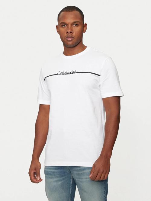 CALVIN KLEIN ERKEK T-SHIRT K10K113802-YAF