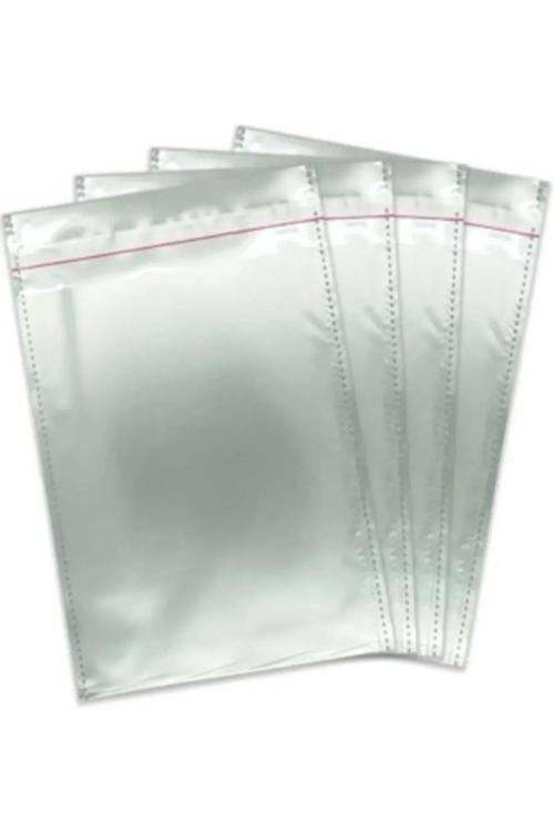 Gümüş Lüks Metalik Yapışkanlı Hediye Paketi 30X45 25 Adet