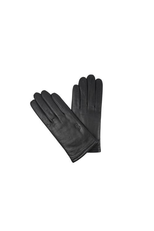 Kadın Eldiven 405801110045