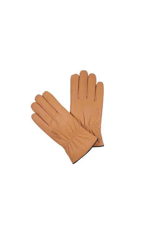 Kadın Eldiven 405801110037