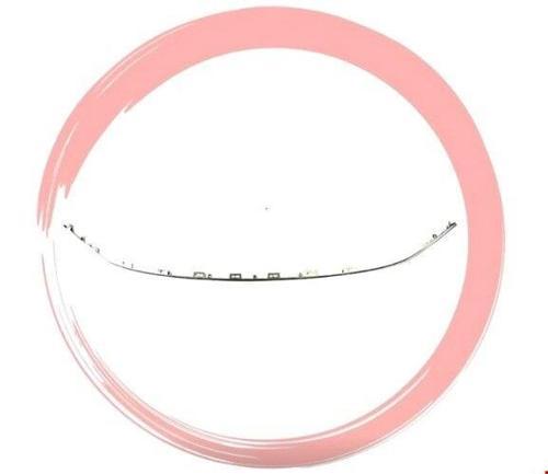 ÖN TAMPON ORTA IZGARA ÇITASI GRİ EGEA 2021-