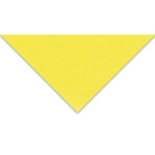 Tiziano Çok Amaçlı Fon Kartonu 160 gr. 50x65 cm 5'li Paket LİMON - LIMONE