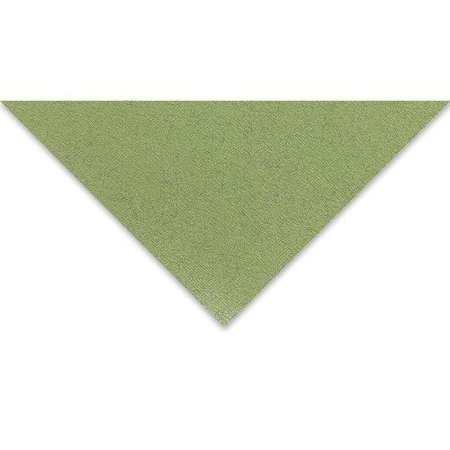 Tiziano Çok Amaçlı Fon Kartonu 160 gr. 50x65 cm 5'li Paket YOSUN - MUSCHIO