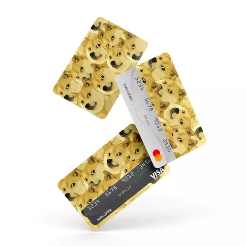 Kredi Kartı Kaplama / Sticker - Doge