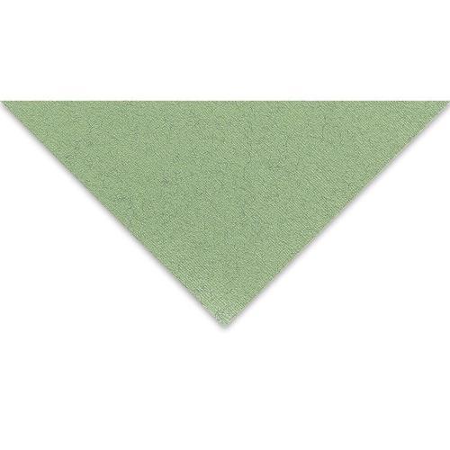 Tiziano Çok Amaçlı Fon Kartonu 160 gr. 50x65 cm 5'li Paket ADAÇAYI - SALVIA