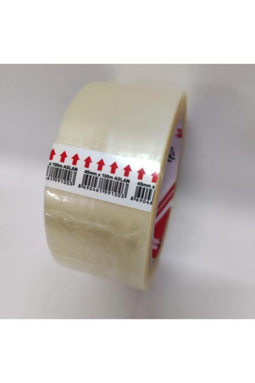 Aslan Koli Bandı 45×100 Mt.