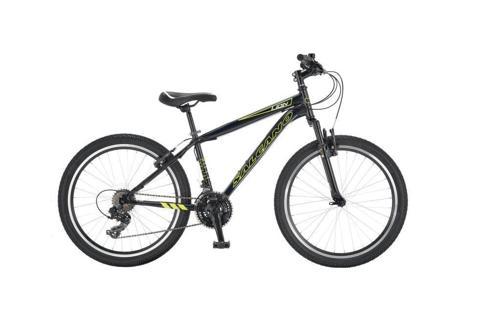 Lion 24 Jant Çocuk Bisikleti (135-155 cm boy)