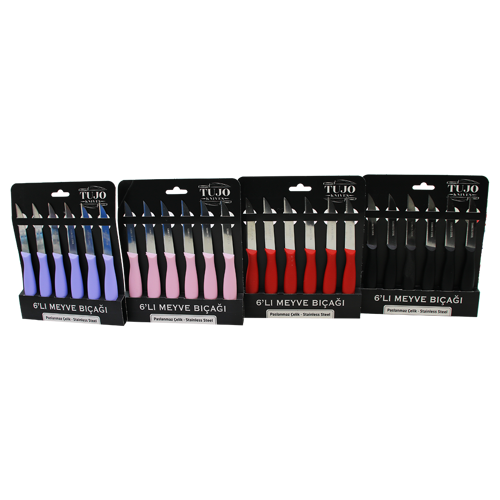 6 PARÇA  MEYVE BIÇAK RENKLİ PLASTİK SAPLI (5250)