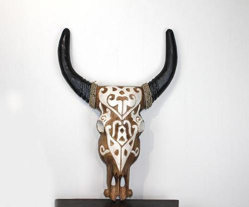 Duvara Asmalı Bufalo Kafası 