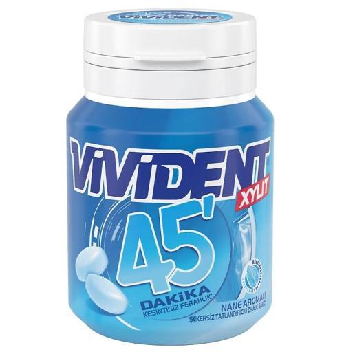 45 Dakika Nane Aromalı Şekersiz-Tatlandırıcılı Draje Sakız Kutu 67g