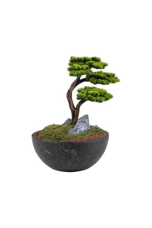 Avior Bonsai