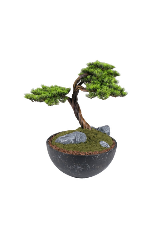 Avior Bonsai