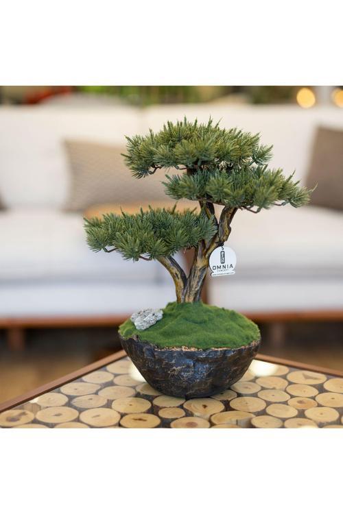 Calipso Bonsai-4 Masaüstü Kullanıma Uygun Mini Yapay Bonsai Ağacı - 30X40 Cm