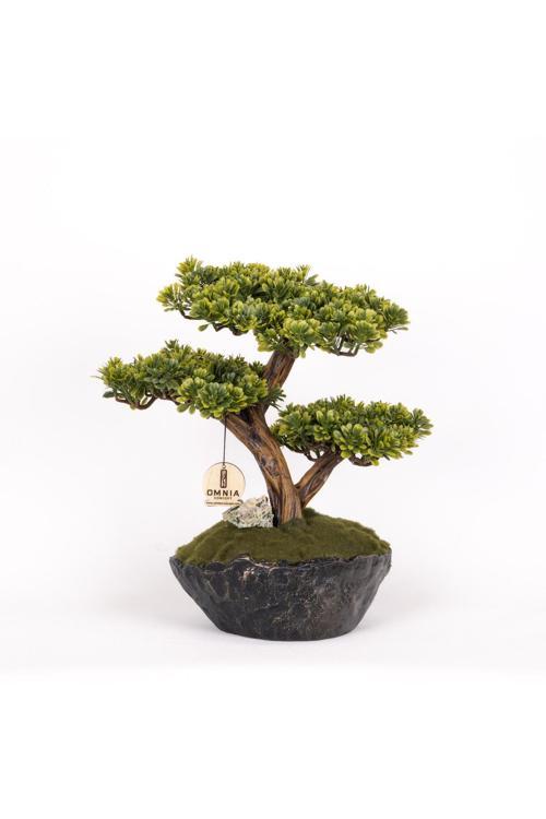 Calipso Bonsai-5 Masaüstü Kullanıma Uygun Mini Yapay Bonsai Ağacı - 30X40 Cm