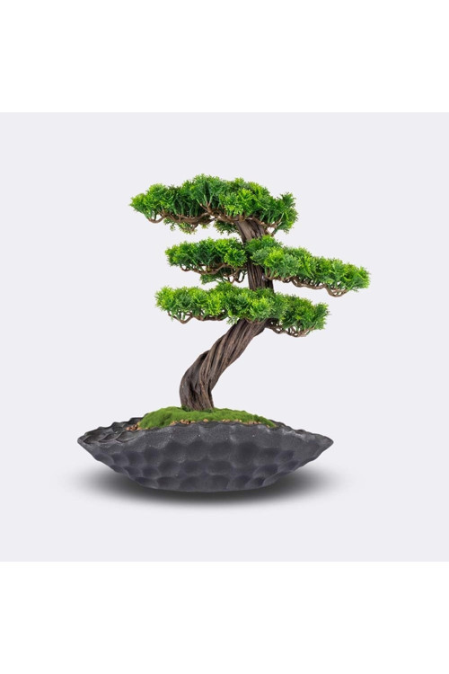 Ceres Thuja - Masaüstü Kullanıma Uygun Doğal Ağaç Gövdeli Mini Yapay Bonsai Ağacı - 50X53 Cm