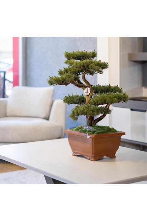 Flora Bonsai-4 Masaüstü Kullanıma Uygun Doğal Ağaç Gövdeli Yapay Bonsai Ağacı - 40X50 Cm