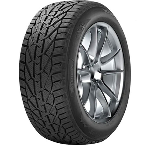 225/45R17 94V XL Winter (Kış) (2025)