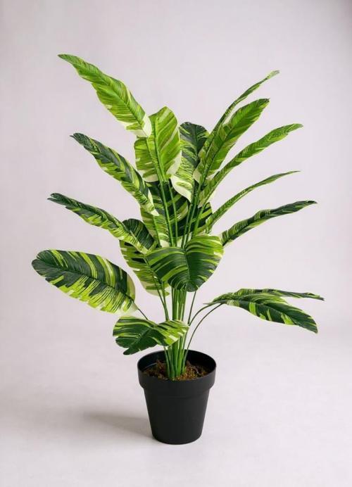 Yapay Çiçek Çizgili Muz Yapraklı Alaca Starliçe Salon Çiçeği 18Dal 80*50cm Yapay Bitki