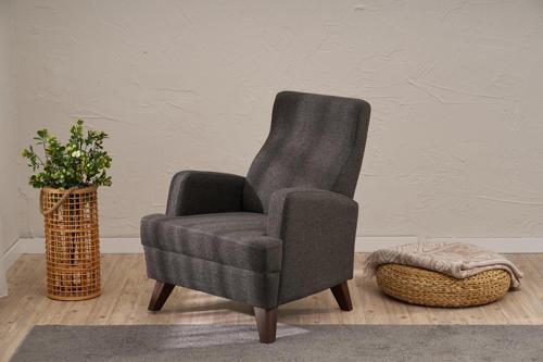 Aly Serisi Tekli Koltuk Antrasit