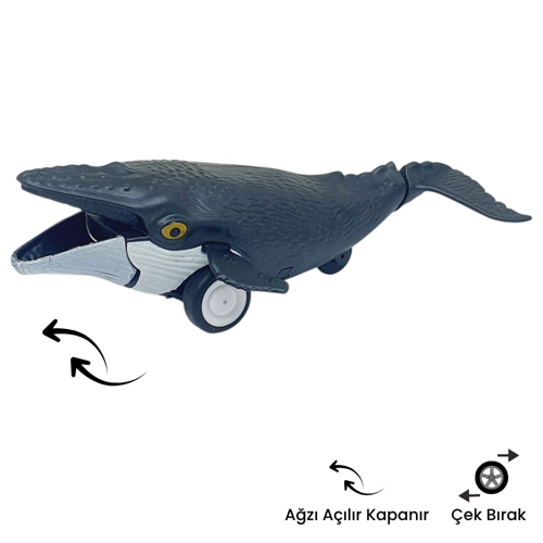 Sürtmeli Hayvanlar Serisi - H-53 - Balina