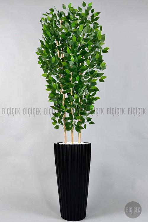 Yapay Bambu Ve Benjamin 6 Dallı Yoğun Yapraklı 220 Cm