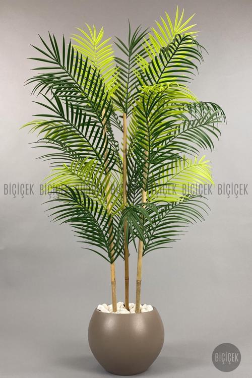120Cm Areka Ağacı 24 Yapraklı Küre Saksıda