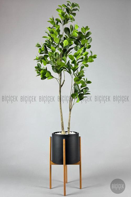 Yapay Manolya Ağacı 150-180Cm