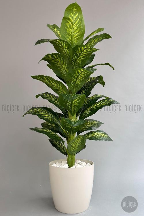 Yapay Ağaç Difenbahya Bambu Gövdeli 180Cm Büyük Boy Kırıkbeyaz Renk Yakut Saksıda