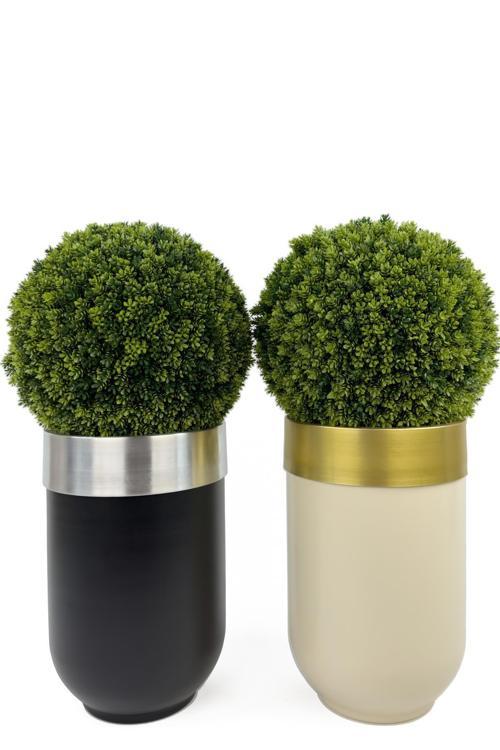 İkili Şimşir Ağacı 90Cm Siyah Ve Krem Darbuka Saksıda