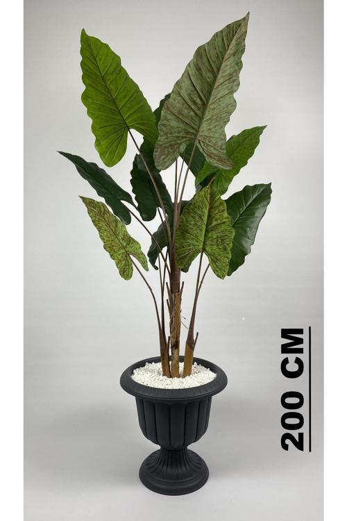 Yapay Ağaç Starliçe Kahverengi Difenbahya Bambu Gövdeli 240Cm Büyük Boy Antrasit Renk Nergis Saksıda