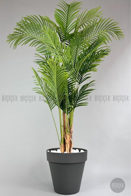 Yapay Areka Ağacı  Büyük Boy Palmiye Ağacı 4 Bambu Gövdeli 220Cm Antrasit Renk Yalı Saksıda