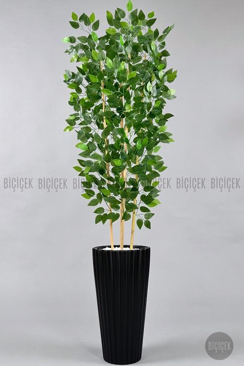 Yapay Bambu Ve Benjamin 4 Dal Yoğun Yapraklı 180 Cm
