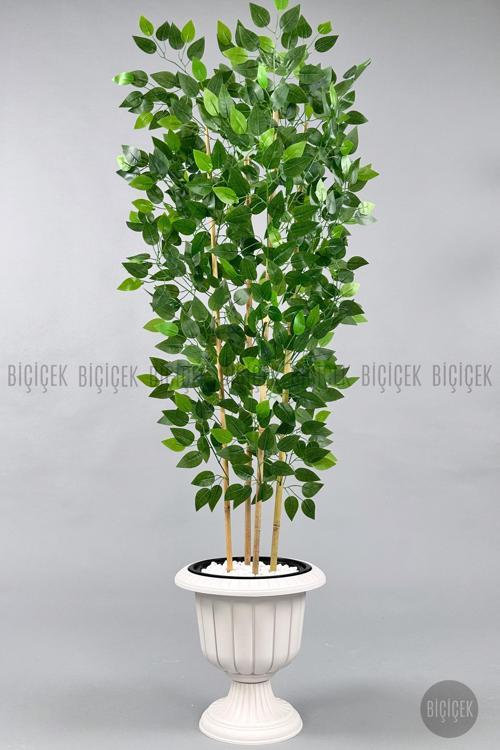 Yapay Benjamin Ağacı 170Cm Yoğun Yapraklı Bambu Gövdeli Kırıkbeyaz Renk Nergis Saksıda