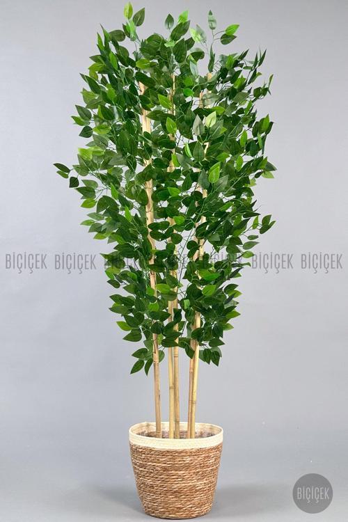 Yapay Benjamin Ağacı 170Cm Siyah Şeritli Hasır Saksıda