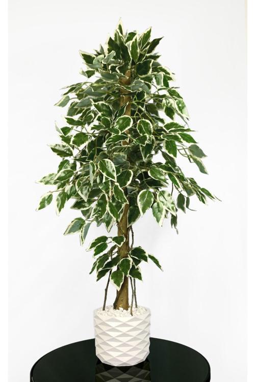 Yapay Benjamin Ağacı 110Cm Sarmaşık Detaylı