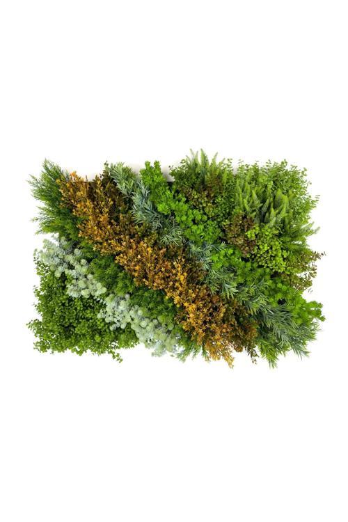 Dikey Bahçe Duvar Paneli 120X80Cm Model27