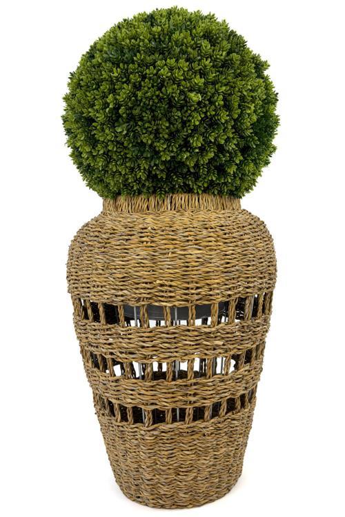 Luxury Şimşir Ağacı 100Cm Hasır Saksıda Bohem3